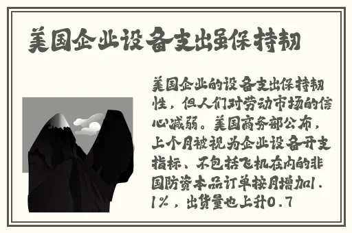 md传媒官网下载2.4.6